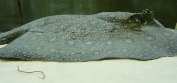 n558210954_2193339_2216.jpg