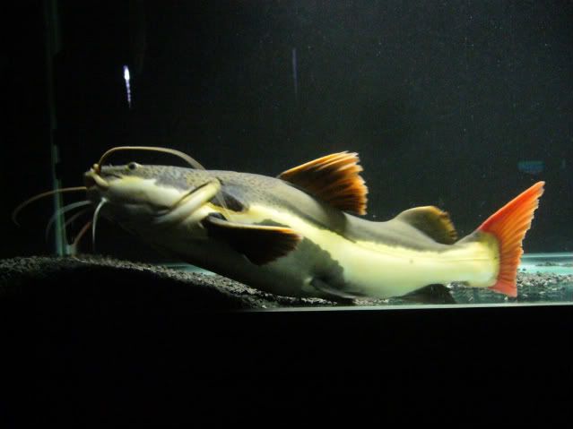 P1160430.jpg