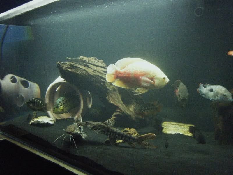 DSCF3369.jpg