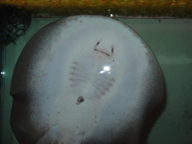 DSC08413.jpg