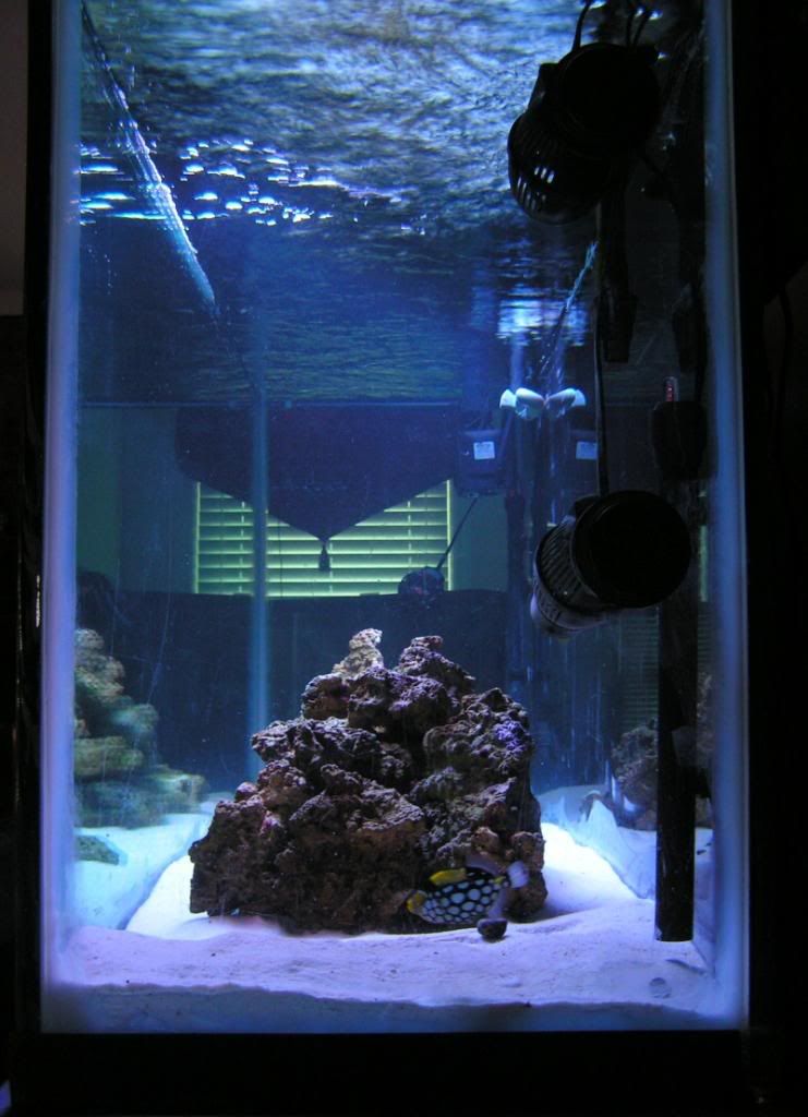 PICT0371.jpg