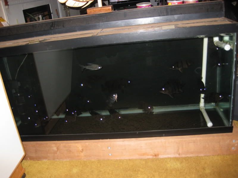11-7-09047.jpg