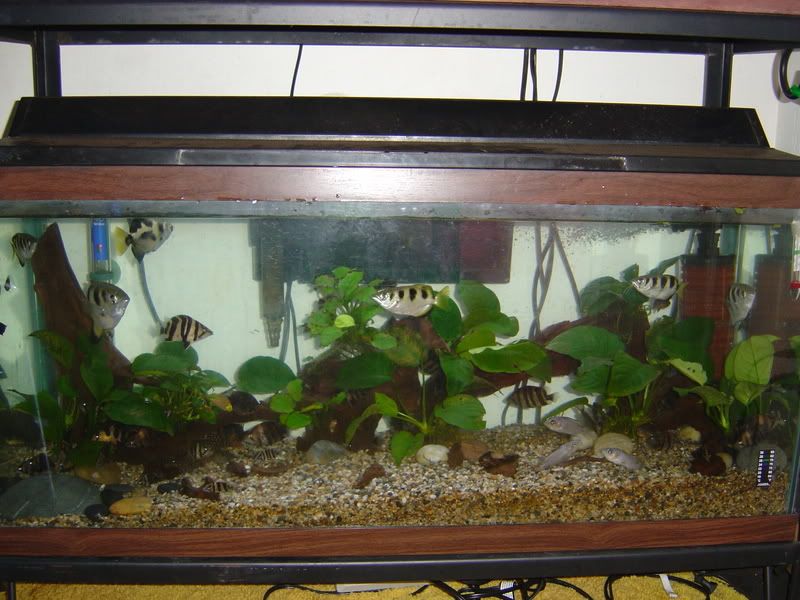 120gpt2009.jpg