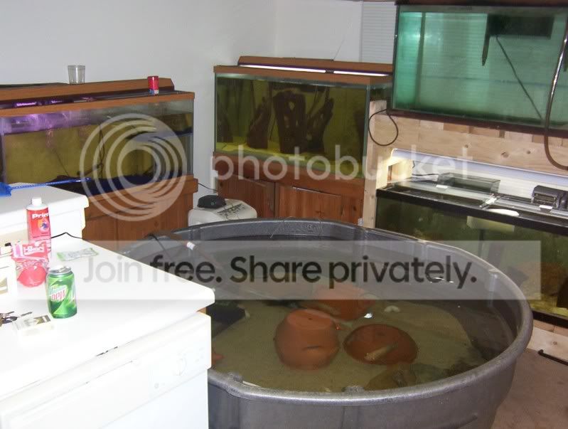 DiningRoom-1.jpg