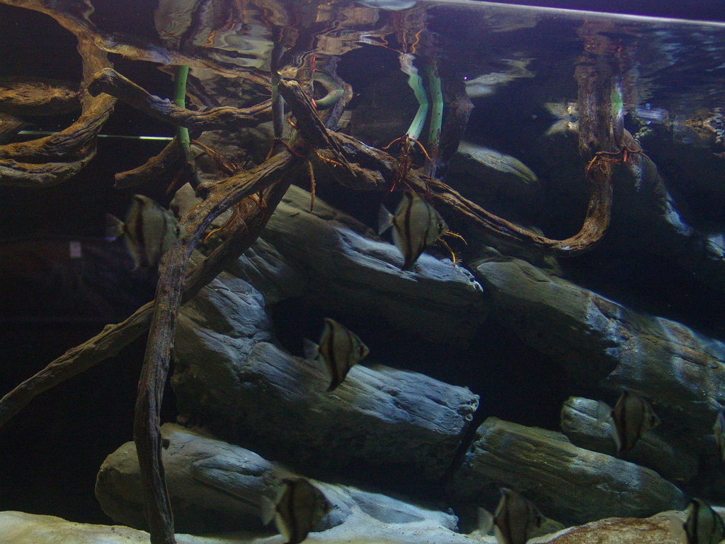 img803723.jpg