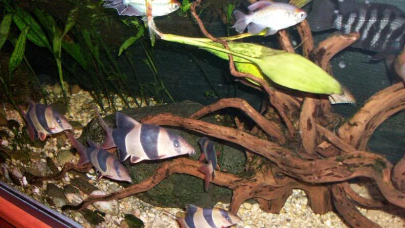 100_0068.jpg