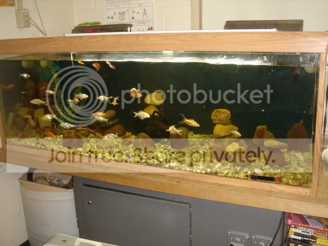 DSC08210.jpg