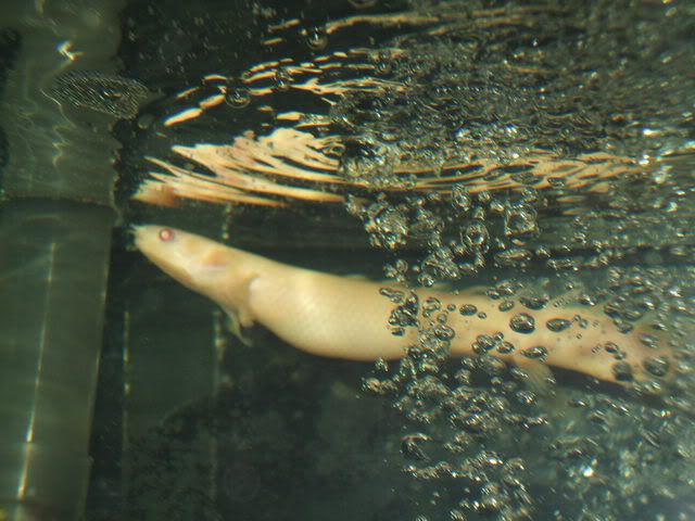 DSCF1282.jpg