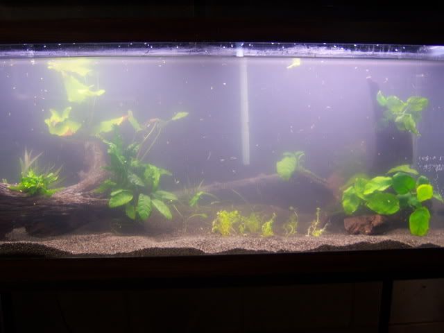 100_6861.jpg