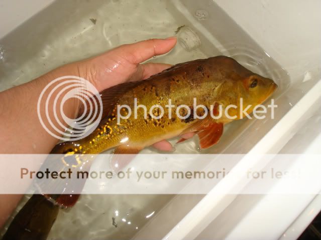 DSC02847.jpg