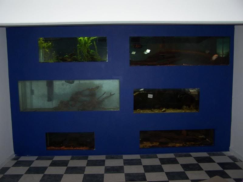 fishwall01002.jpg