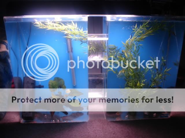 DSC00013-1.jpg