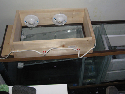 UserCardBoardBoxProcessorOnMFT-3.jpg