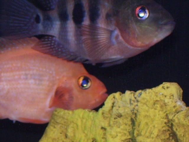 100_0576.jpg