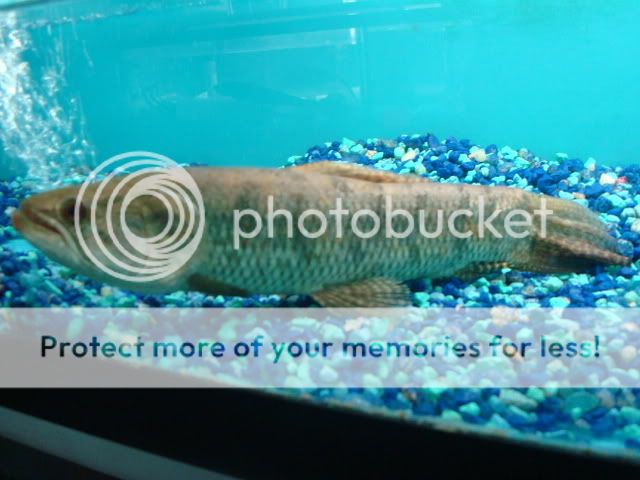 DSC05840.jpg