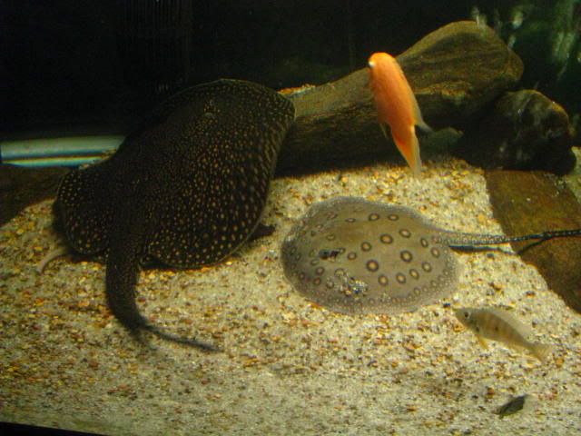 006-2.jpg