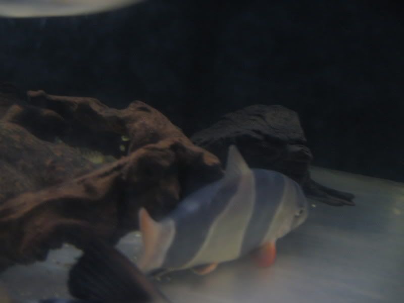 5-17-08007.jpg