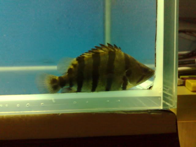020420081746.jpg