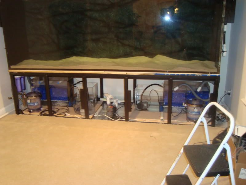 039-1.jpg