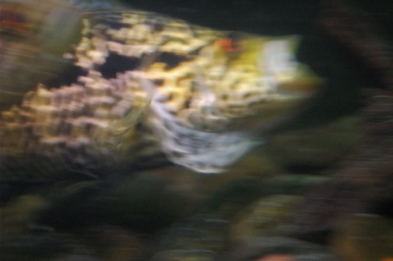 DSC_2946.jpg