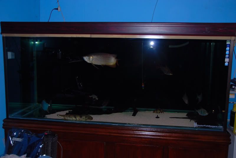 DSC_015402980001.jpg