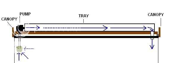 DIYPothosSetup.jpg