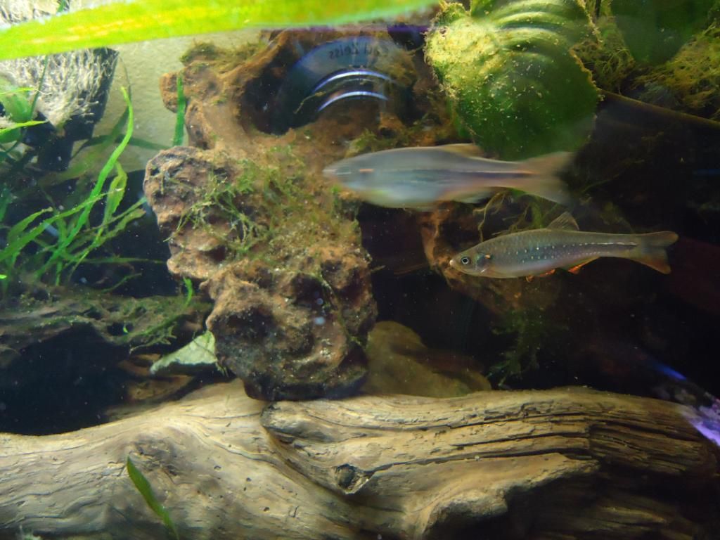 DSC08276.jpg