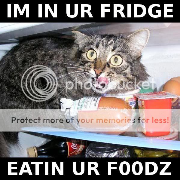 cateatinurfoodgf8.jpg