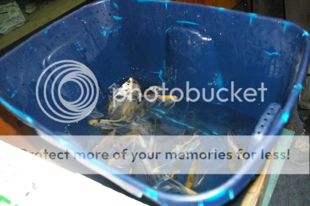 IMGP5356.jpg