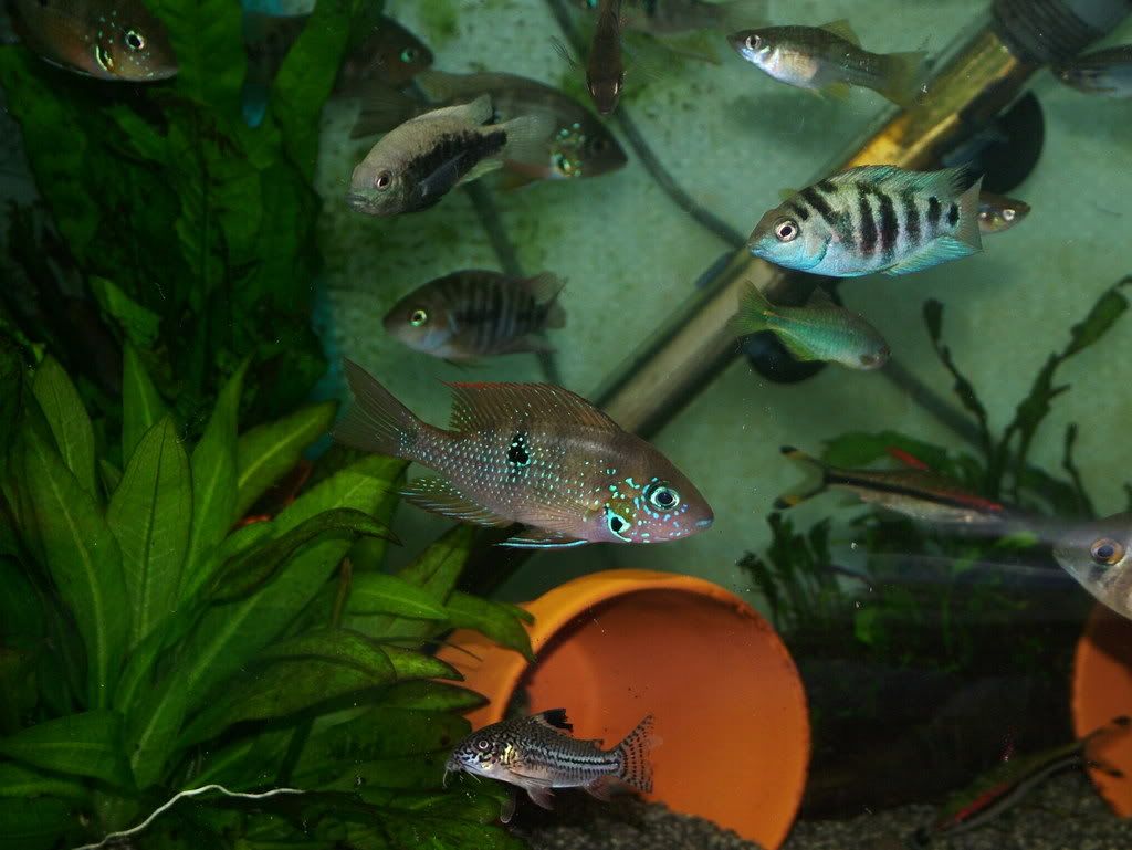 DSCF5759.jpg