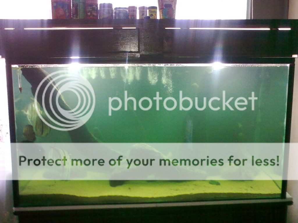 29052009125.jpg