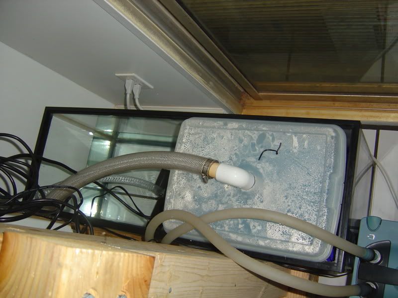 4-28-08009.jpg