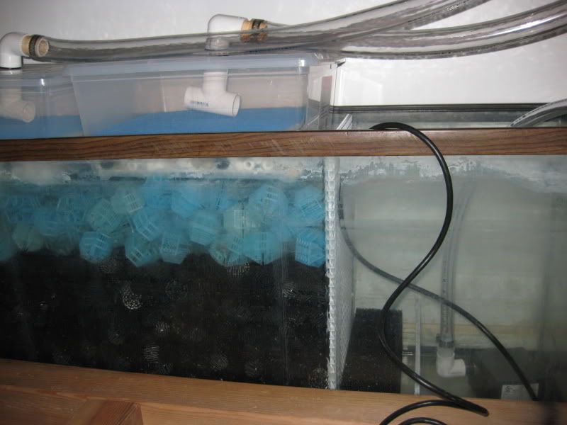 4-7-09007.jpg