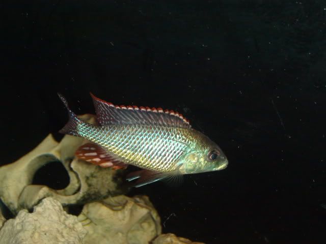 DSC01721.jpg