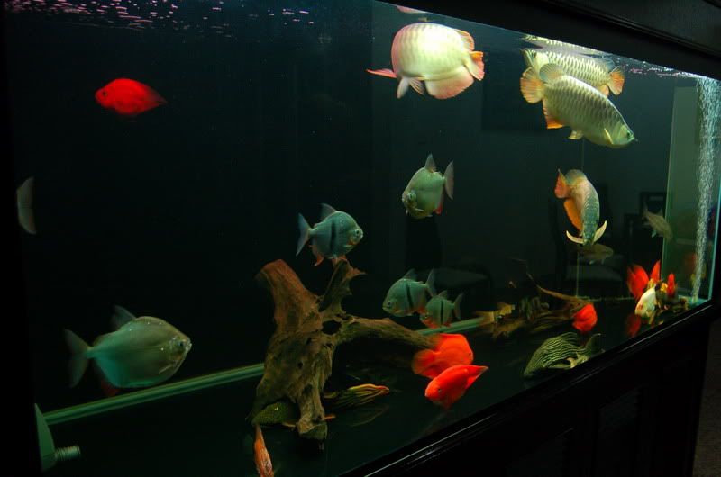 DSC_7075_resize.jpg