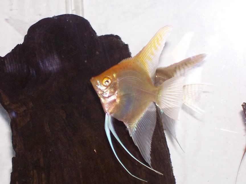 000_0034.jpg