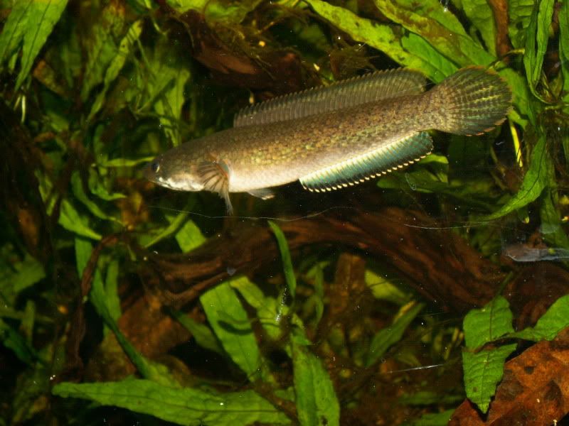 PICT0312.jpg