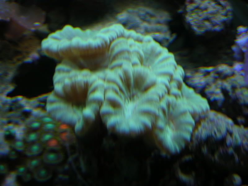 DSCN7130.jpg