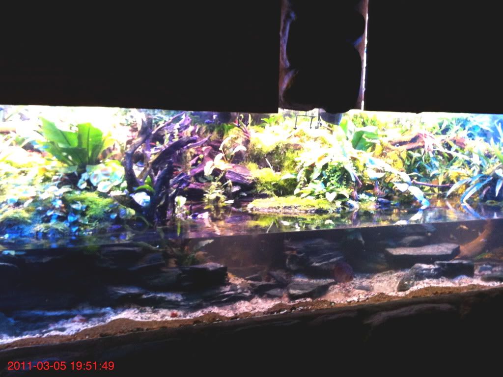 3-3-115.jpg