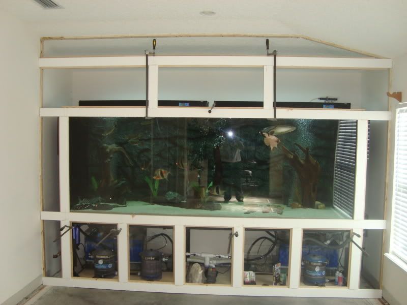 003-5.jpg