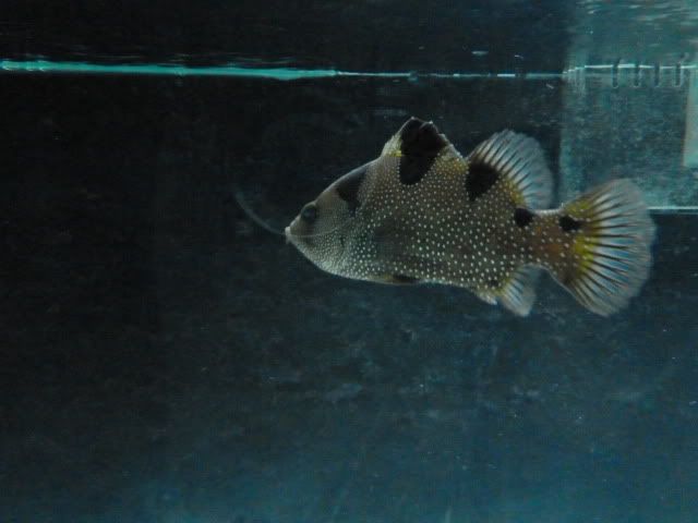 P1010240.jpg