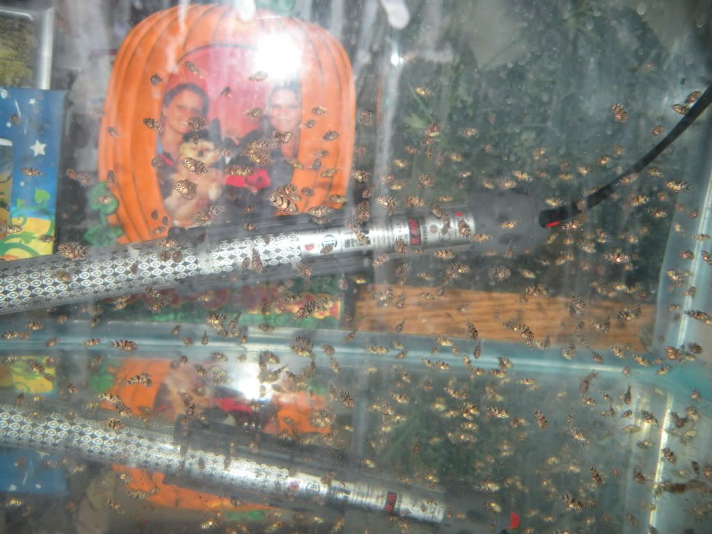 021-1.jpg