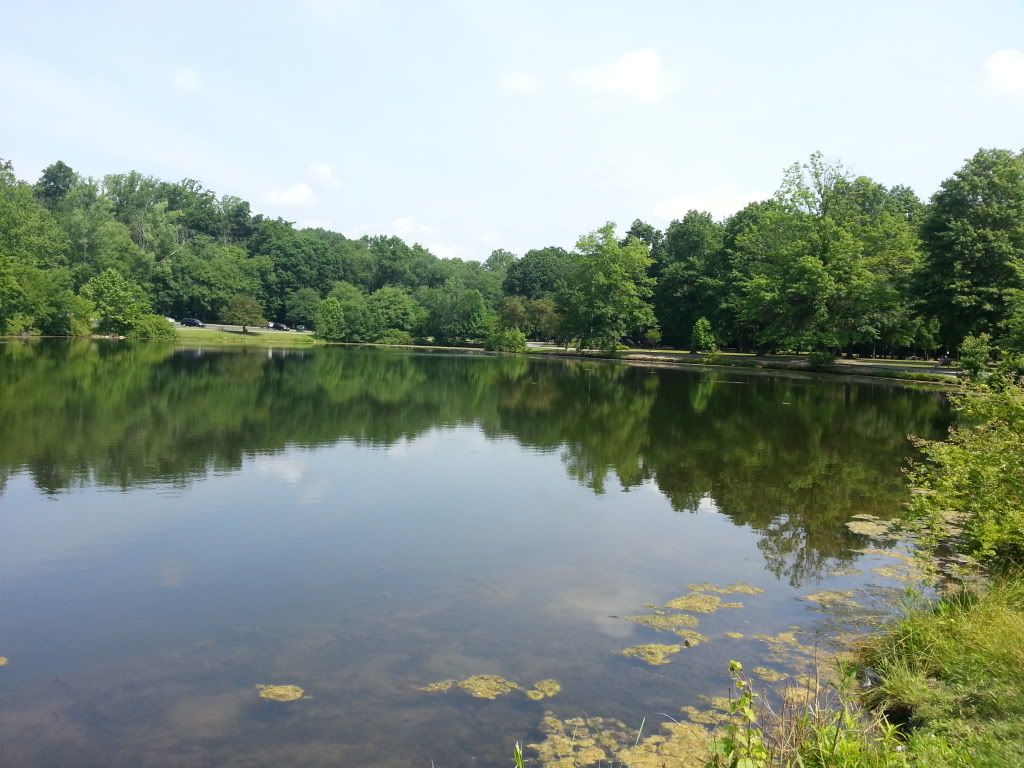 20130627_104646_zpsc5e1ef91.jpg