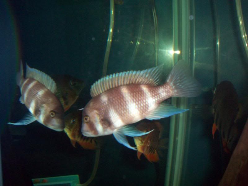 100_2940.jpg