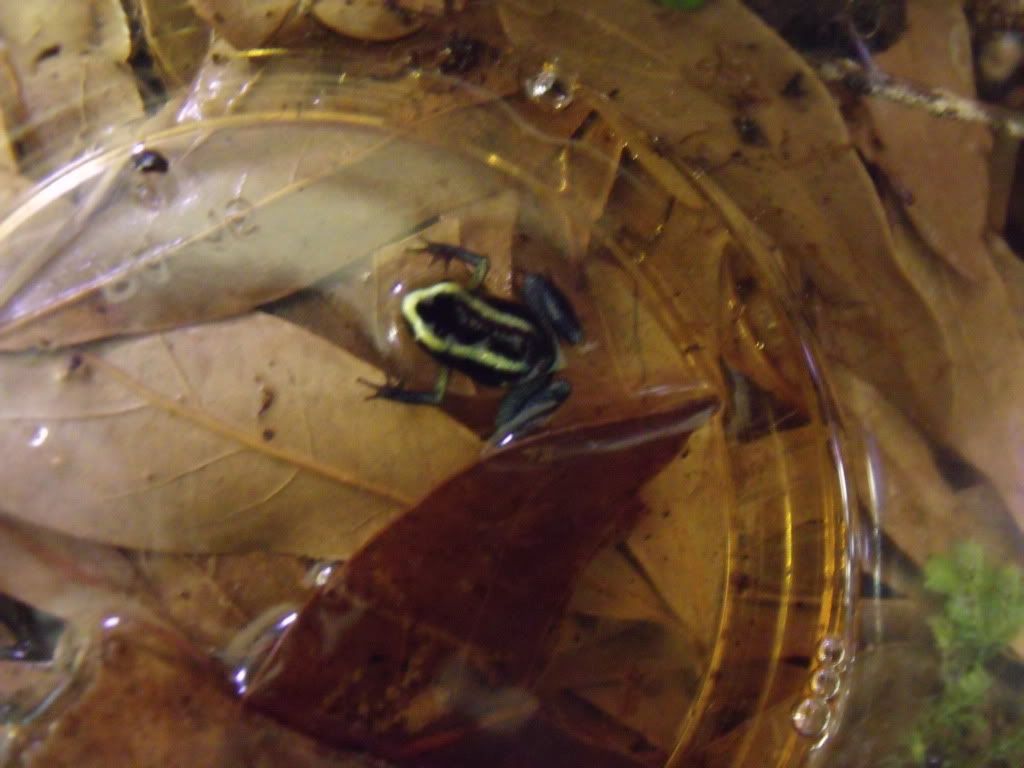 2011_0331newstuff0006.jpg