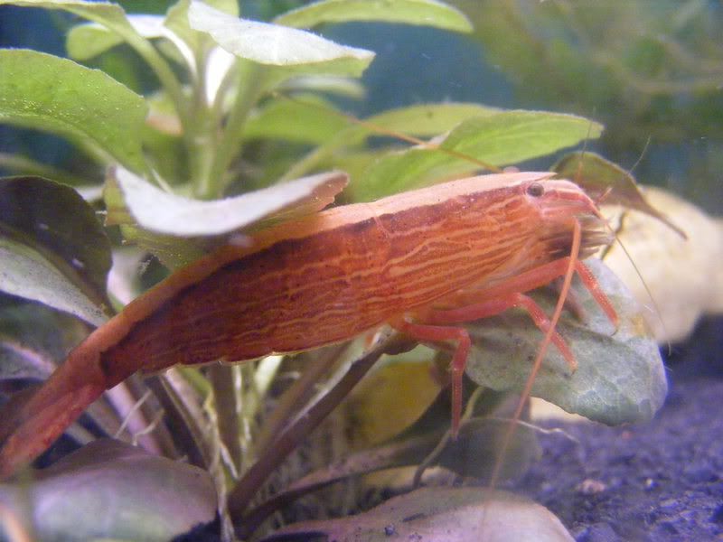 33gallon013.jpg