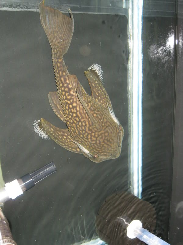 1-19-09241.jpg