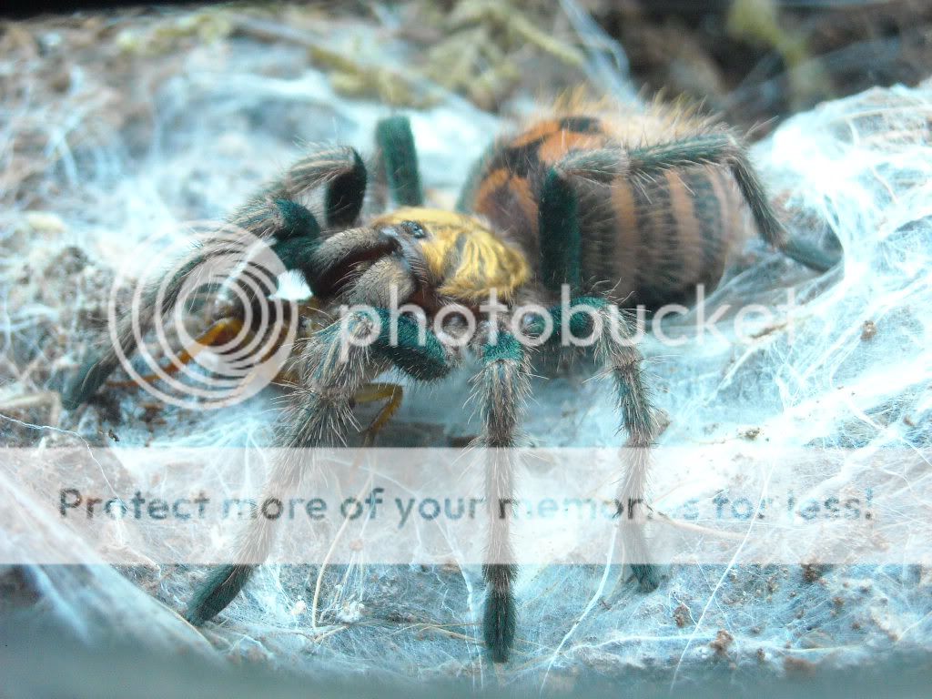 DSCN9536.jpg