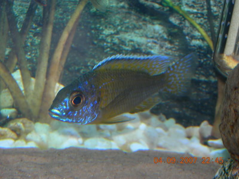 DSCN1405.jpg