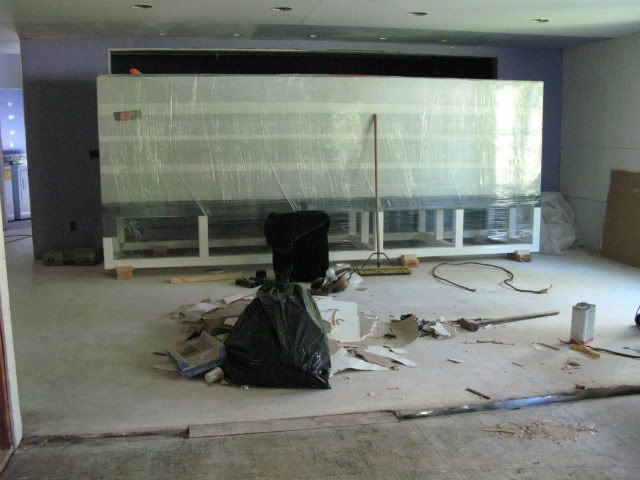 2011-06-200010032.jpg